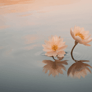 EMDR Therapy Explained: Healing From Trauma