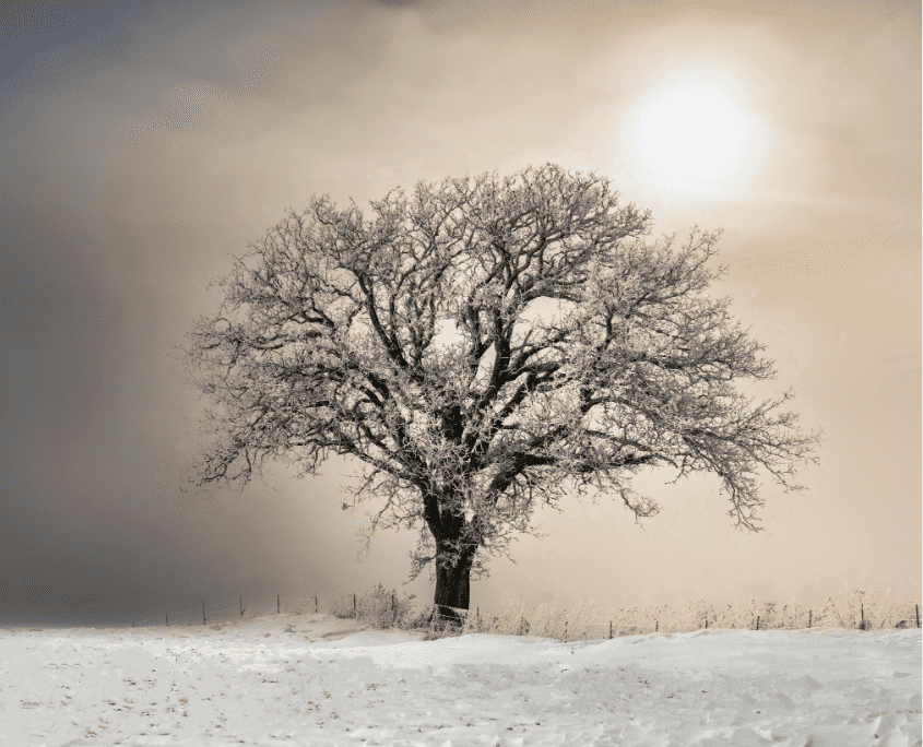 Seasonal Mood Changes: How to Protect Your Mental Health