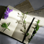 Journaling Prompts for Emotional Processing