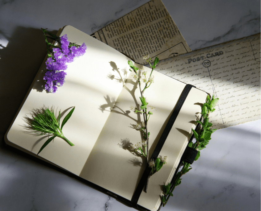 Journaling Prompts for Emotional Processing