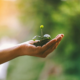 How Therapy Can Support Personal Growth