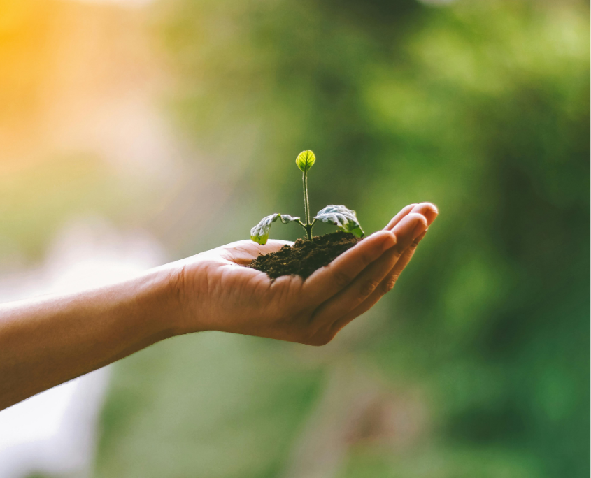 How Therapy Can Support Personal Growth